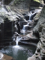 watkins Glen